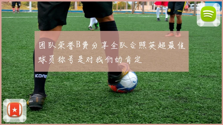 团队荣誉B费分享全队合照英超最佳球员称号是对我们的肯定